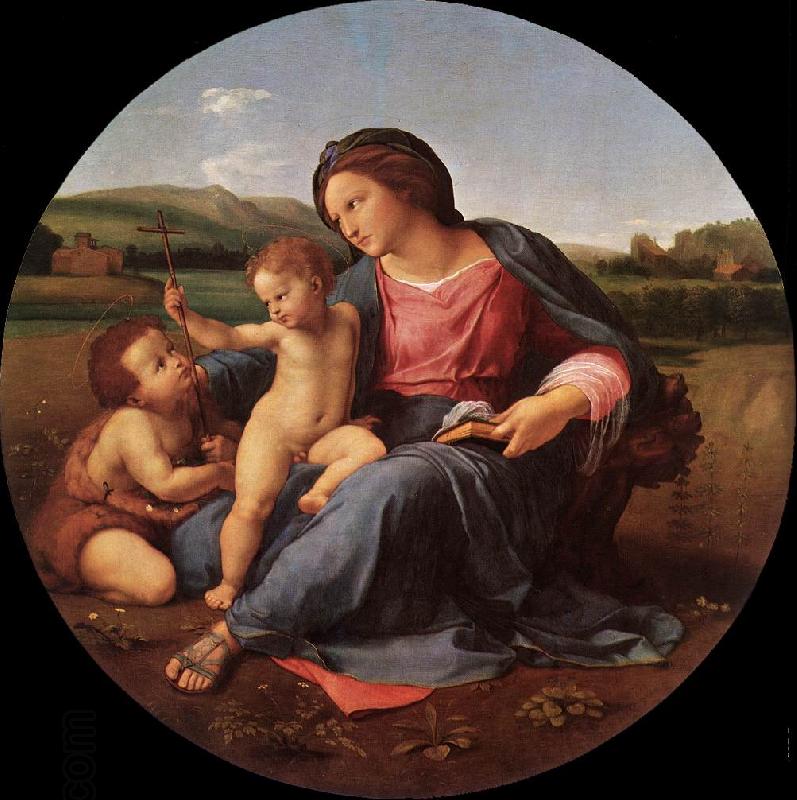 RAFFAELLO Sanzio The Alba Madonna oil painting picture